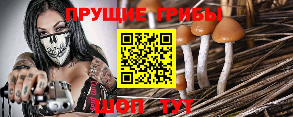 Майский  Галлюциногенные грибы Cubensis  Вход с VPN 